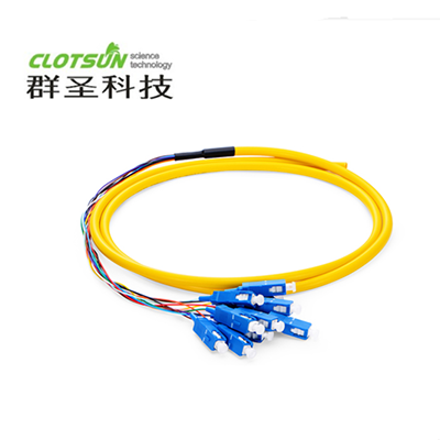 12芯 SC/UPC 单模 束状圆缆光纤尾纤